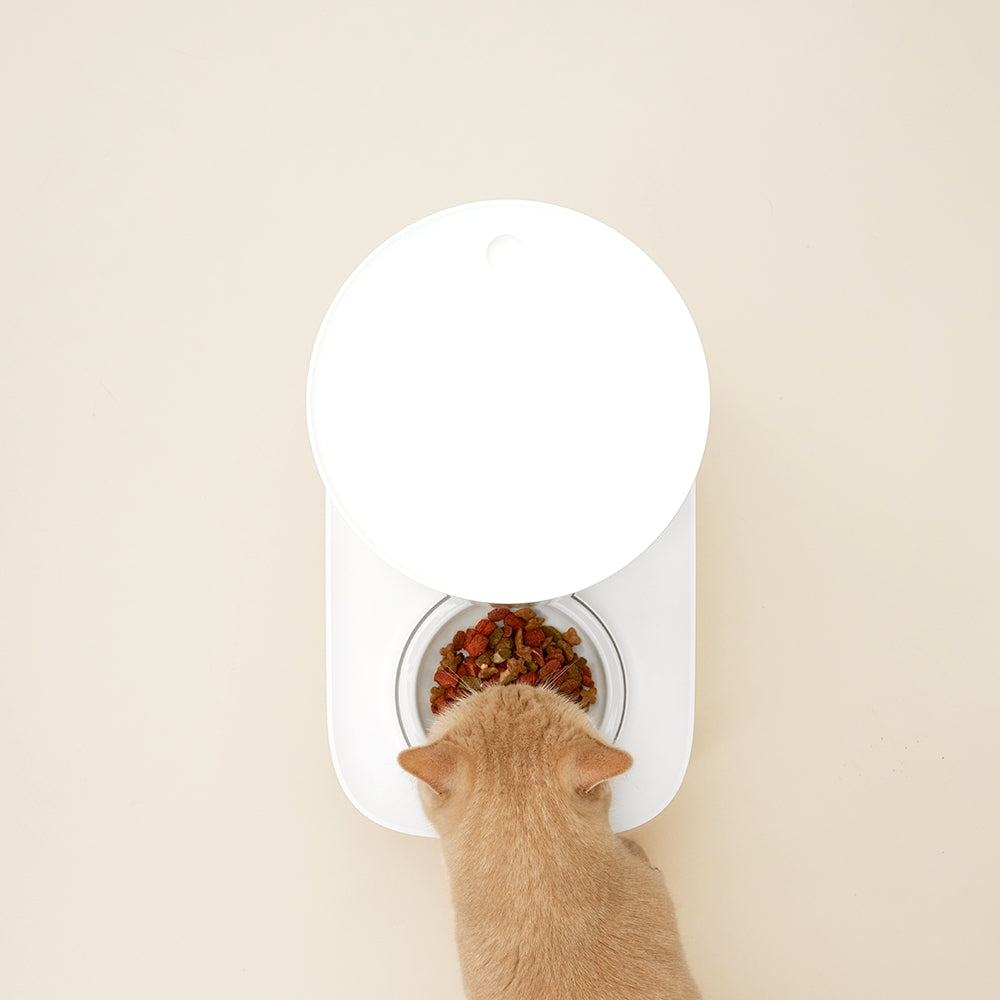 DUIT The Table Plus Smart Automatic Feeder